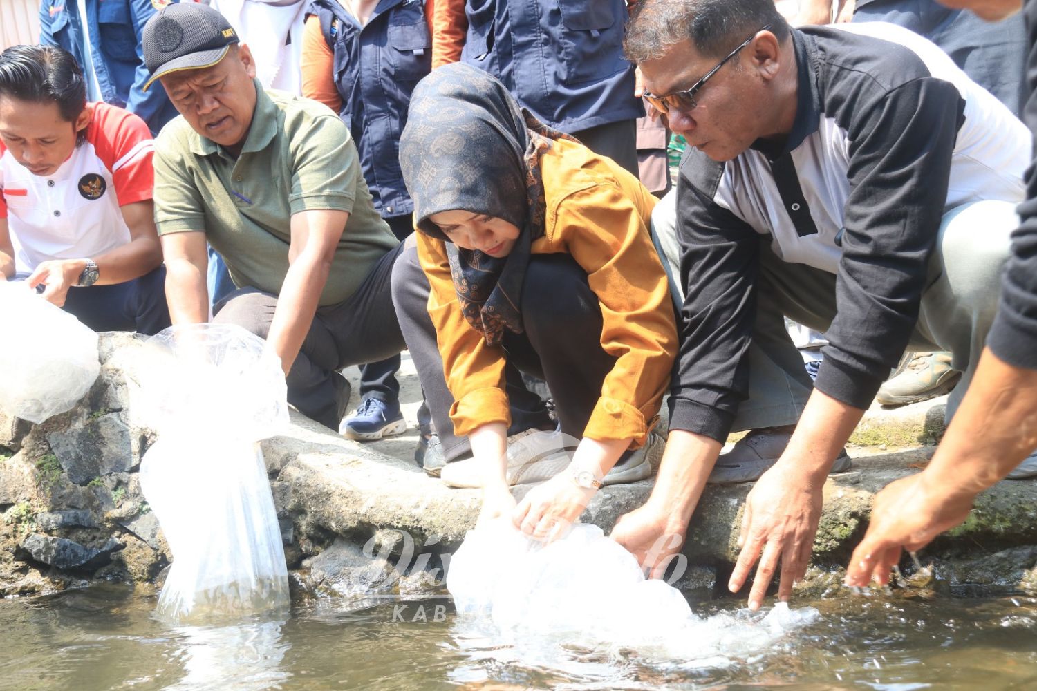 Jadikan Ikon Kuliner Khas Mojokerto, Pemkab Mojokerto Tebar 200 Ribu Benih Wader untuk Dibudidaya